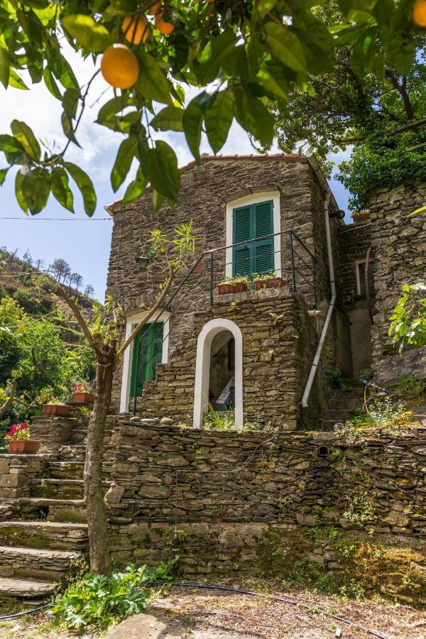 Villa Smith Vernazza Exteriér fotografie